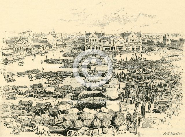 'Morning Market, Johannesburg', c1900. Creator: A.E. Huitt.