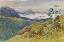 Morning Mists in the Valley of the Mahawelli Gangha c1880 (1905). Creator: Alexander Henry Hallam Murray