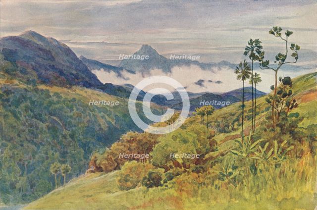 'Morning Mists in the Valley of the Mahawelli Gangha', c1880 (1905). Creator: Alexander Henry Hallam Murray.