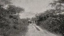 Morro road, Santiago de Cuba, Cuba, 1898. Creator: Unknown