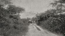 Morro road, Santiago de Cuba, Cuba, 1898. Creator: Unknown