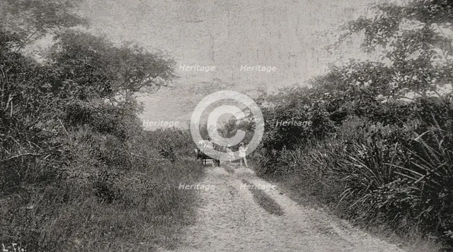 Morro road, Santiago de Cuba, Cuba, 1898. Creator: Unknown.