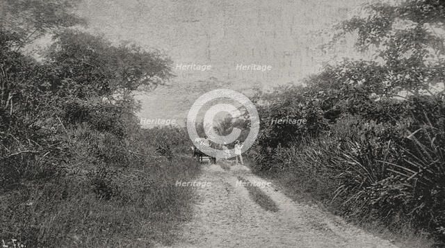 Morro road, Santiago de Cuba, Cuba, 1898. Creator: Unknown.