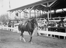 Morton, Miss Helen - Horse Show, 1914. Creator: Harris & Ewing