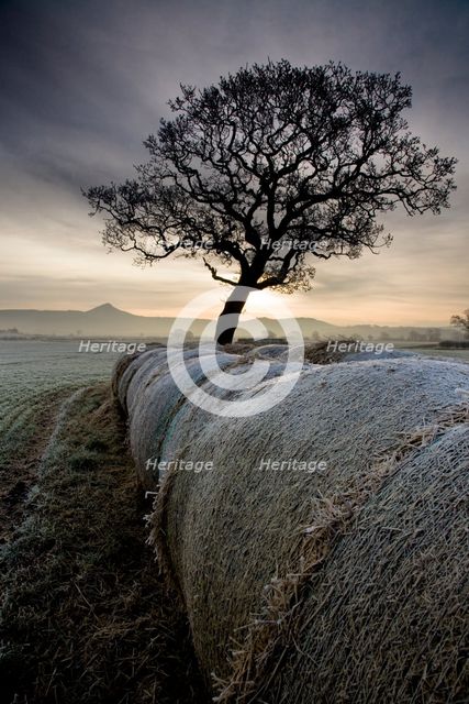 Morton Carr and Roseberry Topping, North Yorkshire, 2008. Artist: Mike Kipling.