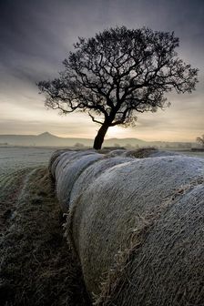 Morton Carr and Roseberry Topping, North Yorkshire, 2008. Artist: Mike Kipling