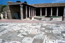 Mosaic at the Roman Villas, Carthage, Tunisia, c2nd-3rd century