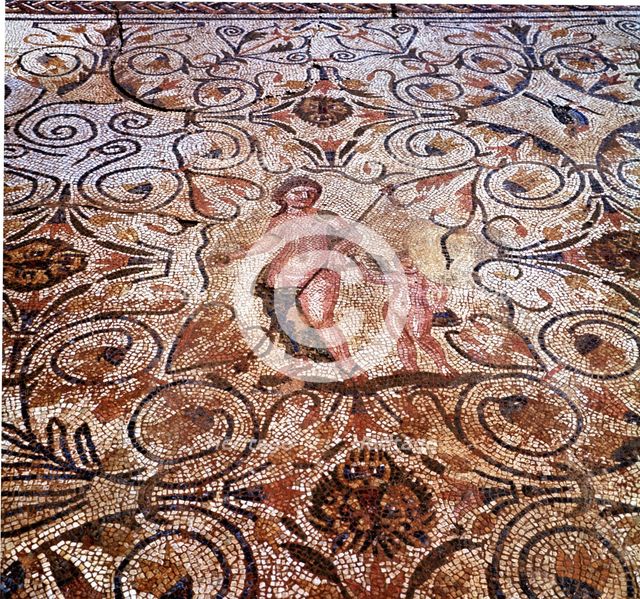 Mosaic, detail of the mosaic in a room of the Roman house in Merida Amphitheater.
