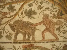 Mosaic, El Jem Museum, El Djem, Tunisia, 2009. Creator: Amanda Waite