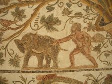 Mosaic, El Jem Museum, El Djem, Tunisia, 2009. Creator: Amanda Waite