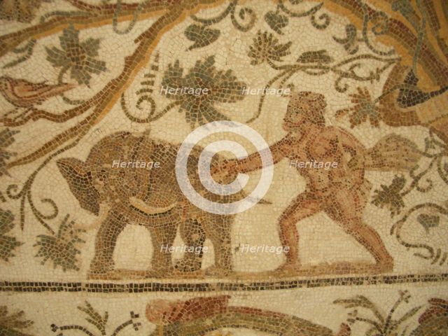 Mosaic, El Jem Museum, El Djem, Tunisia, 2009. Creator: Amanda Waite.