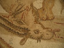 Mosaic, El Jem Museum, El Djem, Tunisia, 2009. Creator: Amanda Waite