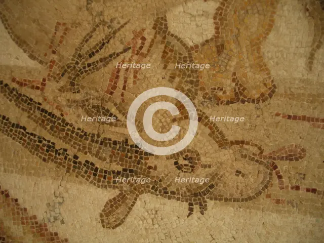 Mosaic, El Jem Museum, El Djem, Tunisia, 2009. Creator: Amanda Waite.