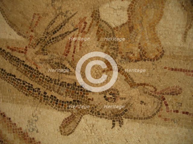 Mosaic, El Jem Museum, El Djem, Tunisia, 2009. Creator: Amanda Waite.