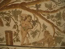 Mosaic, El Jem Museum, El Djem, Tunisia, 2009. Creator: Amanda Waite