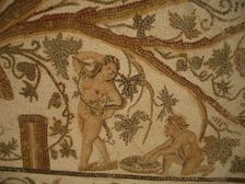 Mosaic, El Jem Museum, El Djem, Tunisia, 2009. Creator: Amanda Waite