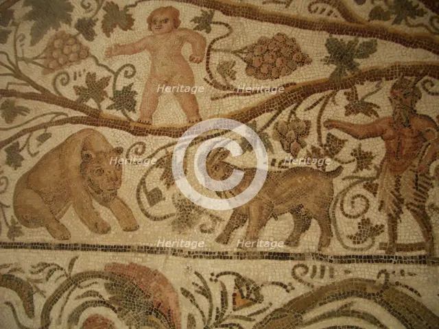 Mosaic, El Jem Museum, El Djem, Tunisia, 2009. Creator: Amanda Waite.