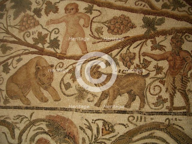 Mosaic, El Jem Museum, El Djem, Tunisia, 2009. Creator: Amanda Waite.