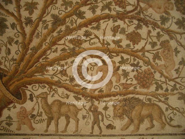 Mosaic, El Jem Museum, El Djem, Tunisia, 2009. Creator: Amanda Waite.