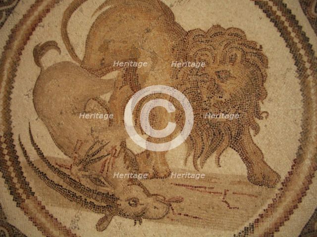 Mosaic, El Jem Museum, El Djem, Tunisia, 2009. Creator: Amanda Waite.