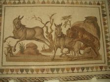 Mosaic, El Jem Museum, El Djem, Tunisia, 2009. Creator: Amanda Waite
