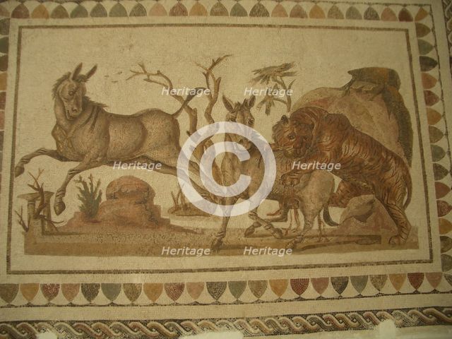 Mosaic, El Jem Museum, El Djem, Tunisia, 2009. Creator: Amanda Waite.