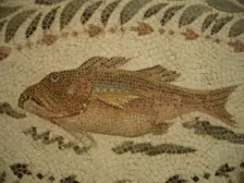 Mosaic, El Jem Museum, El Djem, Tunisia, 2009. Creator: Amanda Waite
