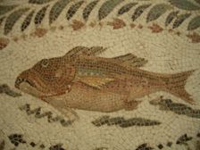 Mosaic, El Jem Museum, El Djem, Tunisia, 2009. Creator: Amanda Waite