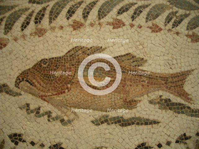 Mosaic, El Jem Museum, El Djem, Tunisia, 2009. Creator: Amanda Waite.