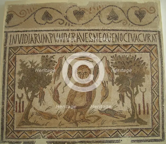 Mosaic, El Jem Museum, El Djem, Tunisia, 2009. Creator: Amanda Waite.