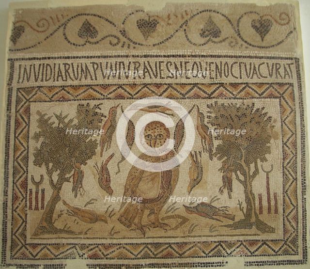 Mosaic, El Jem Museum, El Djem, Tunisia, 2009. Creator: Amanda Waite.