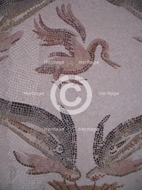 Mosaic, El Jem Museum, El Djem, Tunisia, 2009. Creator: Amanda Waite.