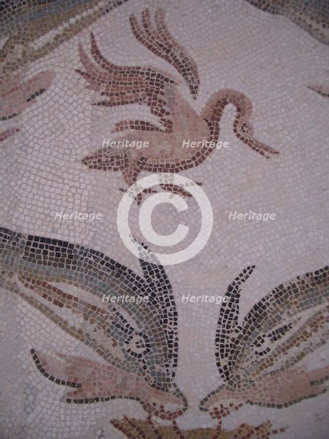 Mosaic, El Jem Museum, El Djem, Tunisia, 2009. Creator: Amanda Waite.