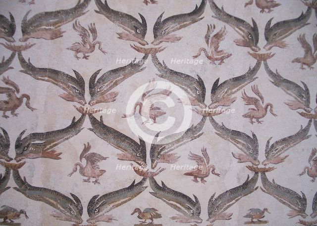 Mosaic, El Jem Museum, El Djem, Tunisia, 2009. Creator: Amanda Waite.
