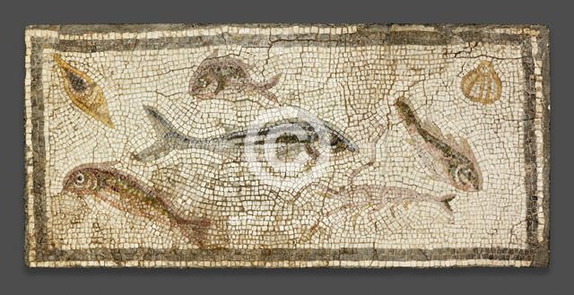 Mosaic Floor Panel Depicting Marine Life, 200-230. Creator: Unknown.