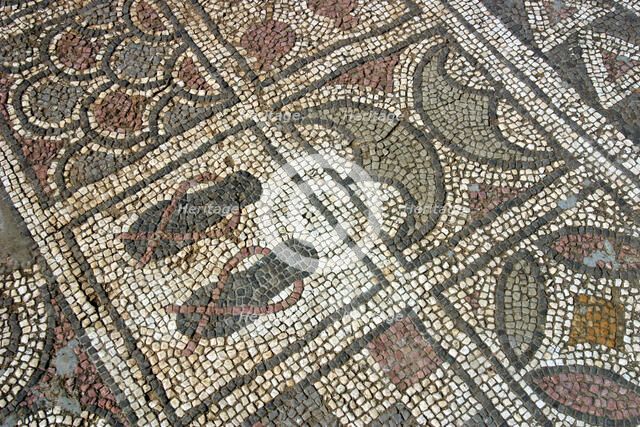 Mosaic floor, ruins of the Basilica of Ayia Trias, Famagusta, North Cyprus.