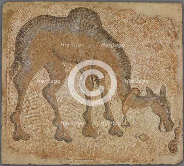 Mosaic Fragment with Grazing Camel, 5th century. Creator: Unknown.