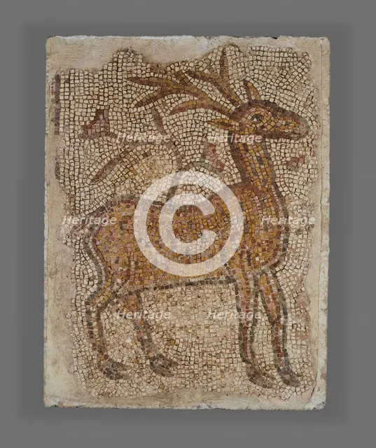 Mosaic Fragment with Stag, 5th-6th century. Creator: Unknown.