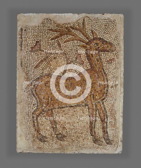 Mosaic Fragment with Stag, 5th-6th century. Creator: Unknown.
