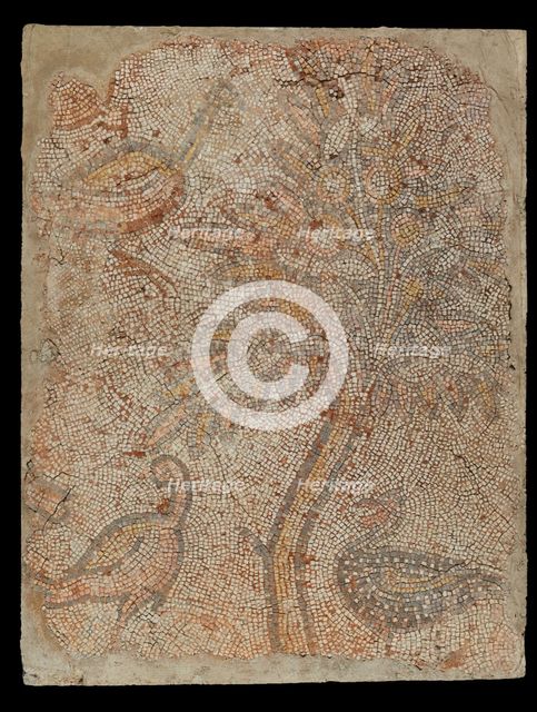Mosaic Fragment with Three Birds and a Tree, 5th-6th century. Creator: Unknown.