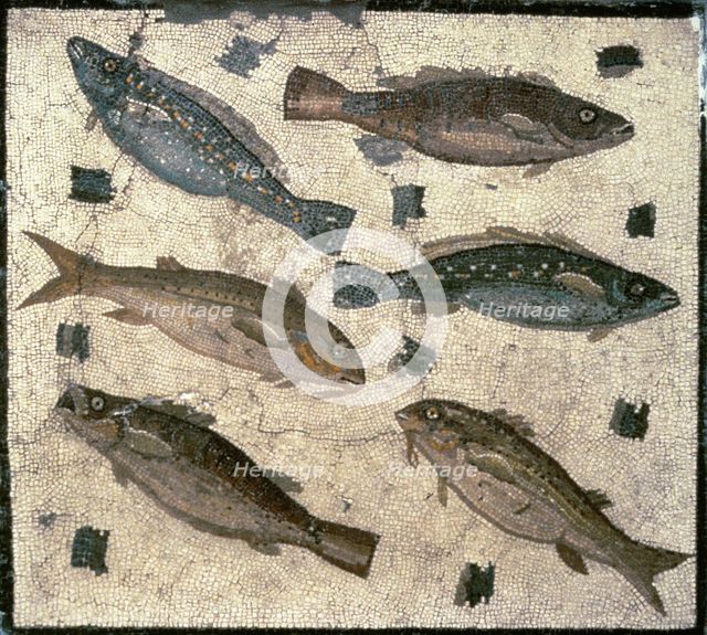 Mosaic from the Kircherian Museum.