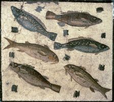 Mosaic from the Kircherian Museum