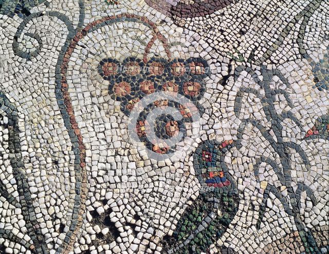 Mosaic in the Amphitheatre house representing a cluster of grapes and a bird, preserved in the ar…