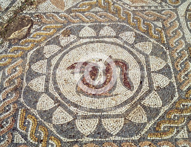 Mosaic in the Amphitheatre house representing a snake, preserved in the archaeological site of Me…