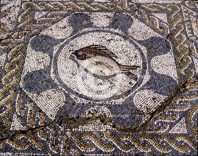 Mosaic in the dining room of the Amphitheatre house representing a fish, preserved in the archaeo…
