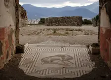 Mosaic, Pompeii, Italy, 2009. Creator: LTL