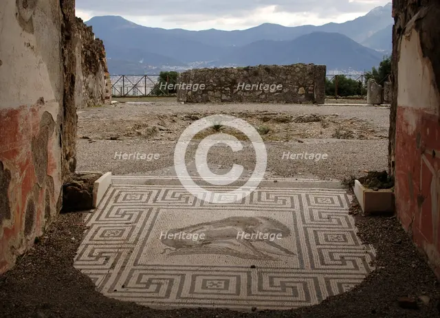 Mosaic, Pompeii, Italy, 2009. Creator: LTL.