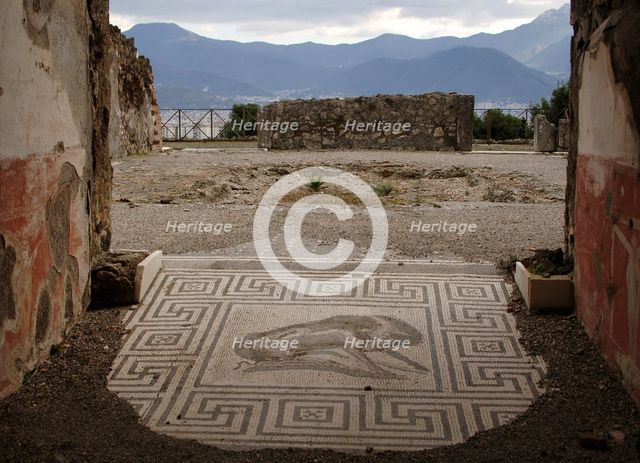 Mosaic, Pompeii, Italy, 2009. Creator: LTL.