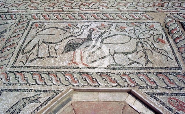 Mosaic, ruins of the Roman town of Stobi, Gradsko, Macedonia. Creator: Vivienne Sharp.
