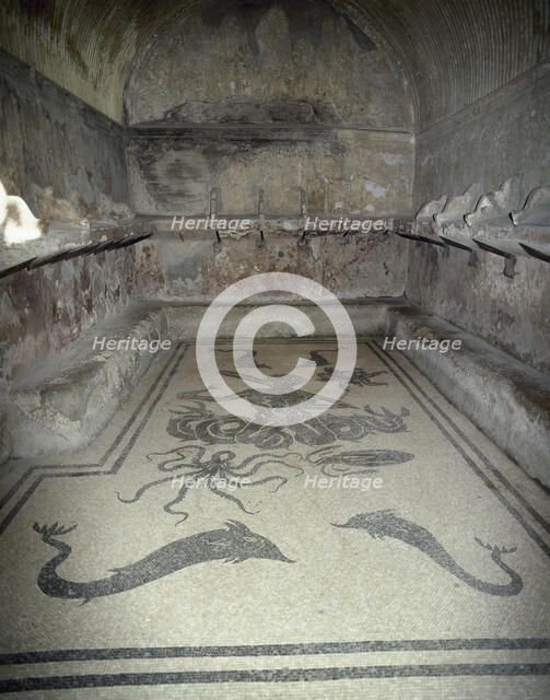 Mosaic with Triton, female tepidarium, thermal baths, Herculaneum, Italy, 2002. Creator: LTL.